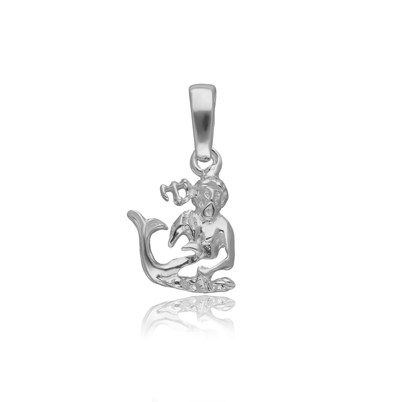 SREBRNA ZAWIESZKA WODNIK ZNAK ZODIAKU