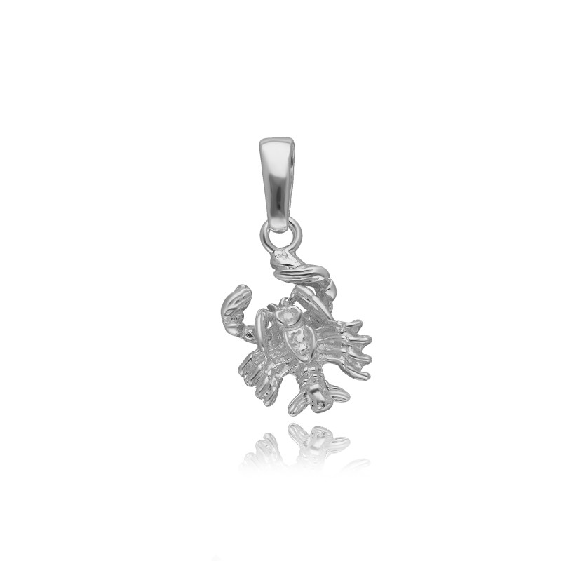 SREBRNA ZAWIESZKA RAK ZNAK ZODIAKU