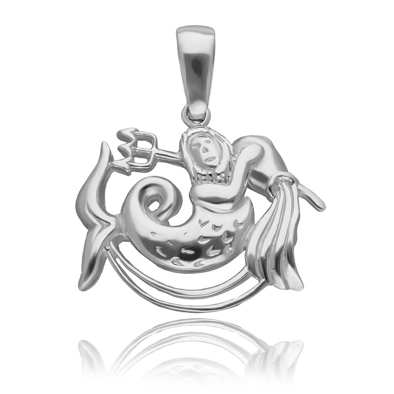 SREBRNA DUŻA ZAWIESZKA WODNIK ZNAK ZODIAKU
